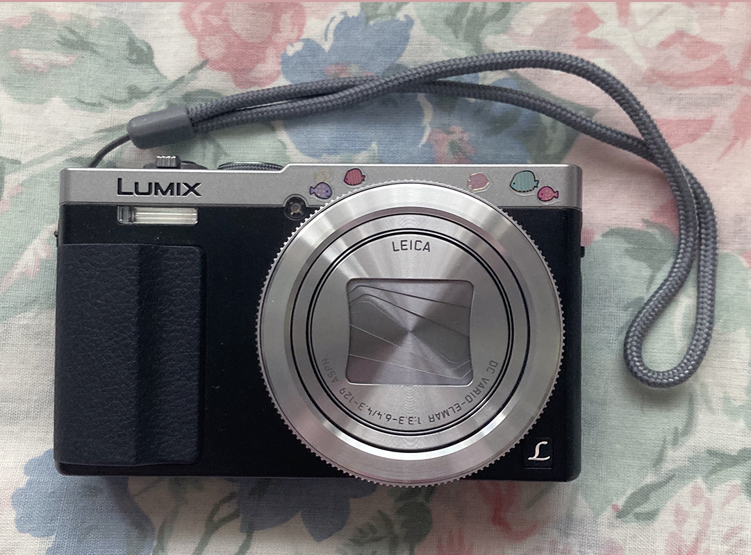 camera