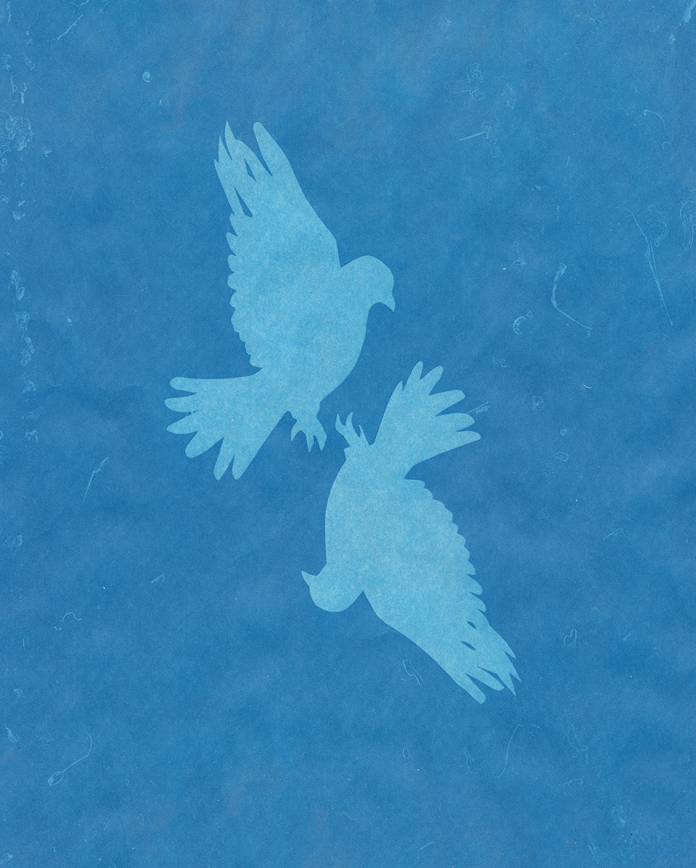 cyan birds