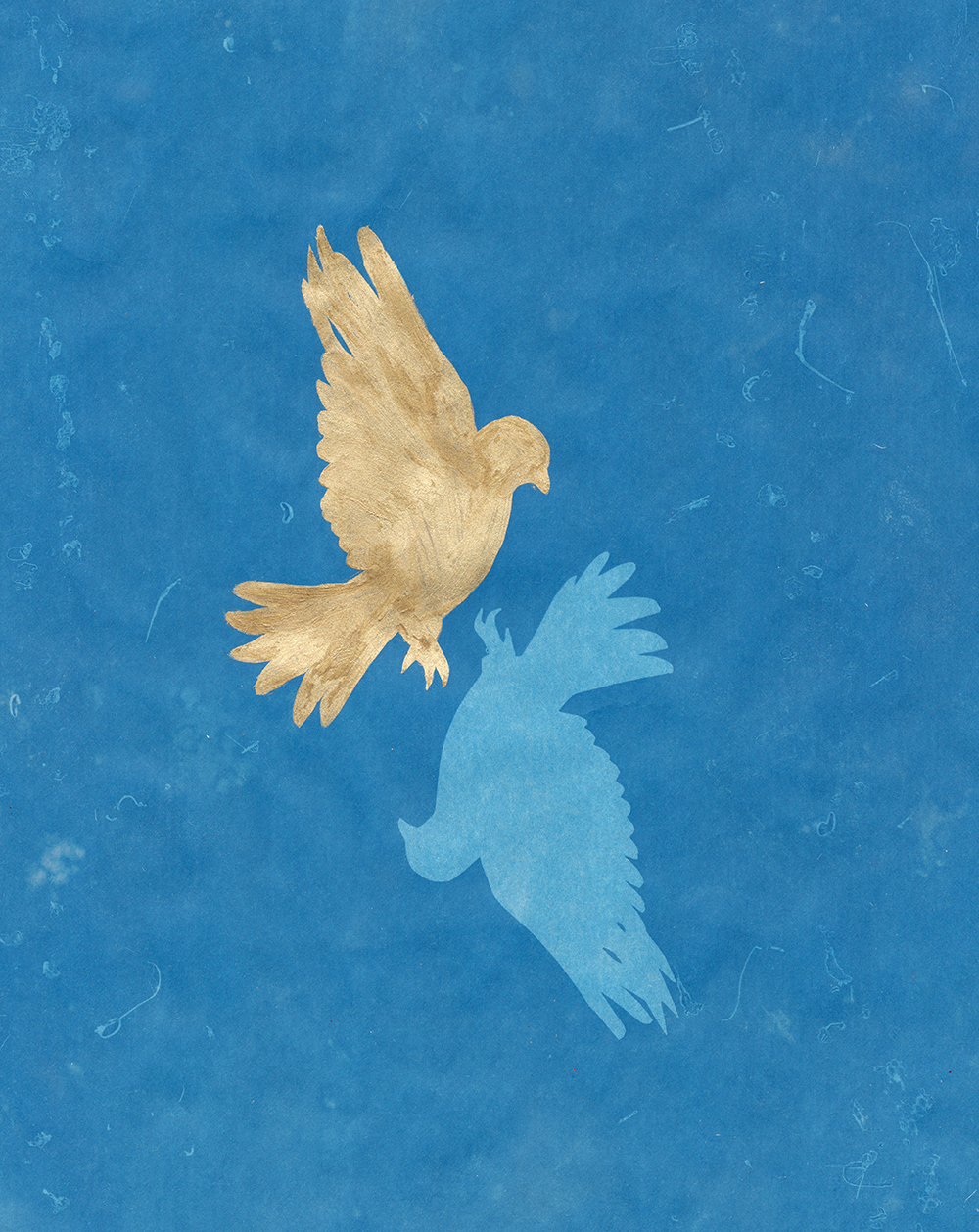 cyan and gold birds