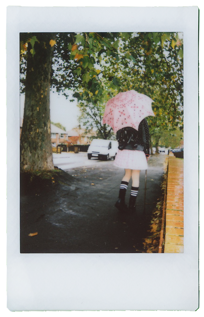 umbrella