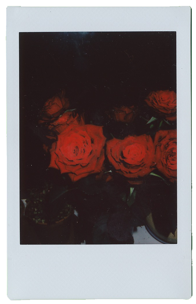 roses